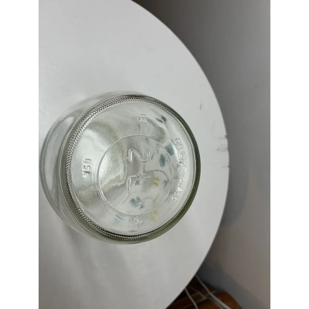 VTG Carlton Glass Jar Canister 2L Geese Blue Flowers Storage /Lid Cottagecore